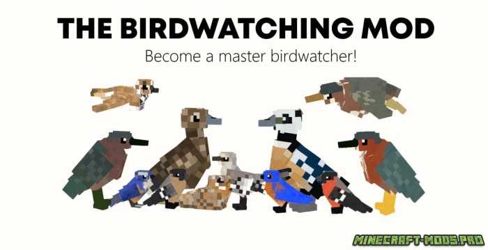 Мод Новые Птицы The Birdwatching для Майнкрафт