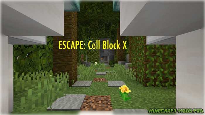 Карта Головоломка ESCAPE: Cell Block X для Майнкрафт