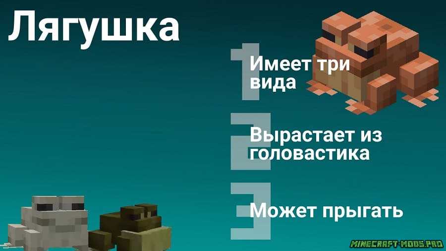 скриншот фото Minecraft 1.19 Java Edition
