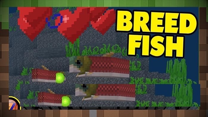 Как разводить тропических рыб в Minecraft