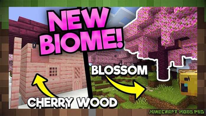Новый биом «Вишневый цвет» Cherry blossom в Minecraft