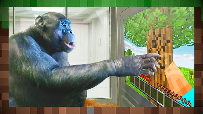 Невероятная история обезьяны, которая научилась играть в Minecraft: прорыв в исследованиях поведения животных