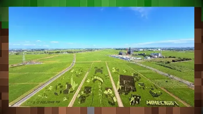 Minecraft проник на огромное рисовое поле в Японии