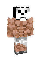 Скин minecraft для ника SalavatZaripov